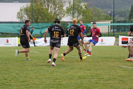 IMG 4554