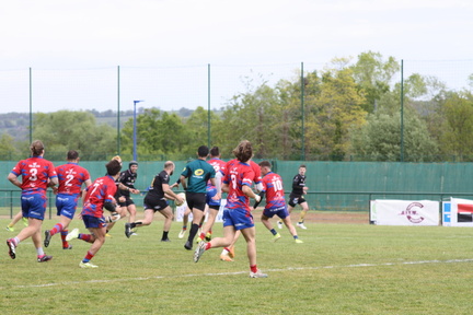 IMG 4620