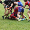 IMG 4636