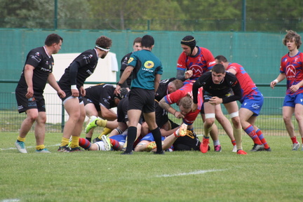 IMG 4670
