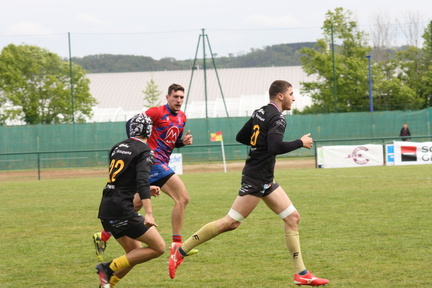 IMG 4684