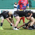 IMG 4731