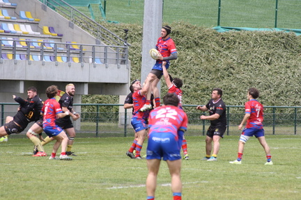 IMG 4739
