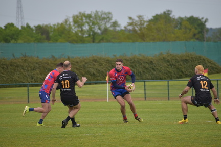 DSC 0010