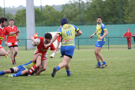 IMG 4947