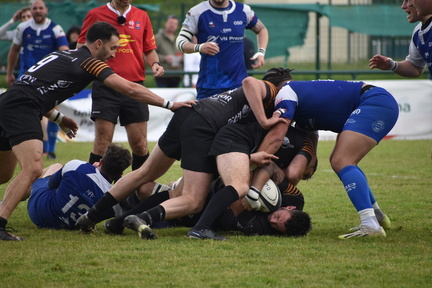 DSC 0066