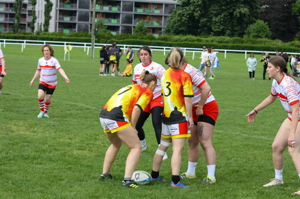 IMG 5382