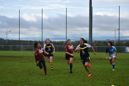 DSC 0278 (1)