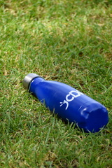 DSC 0234