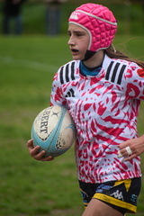 DSC 0087