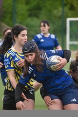 DSC 0231