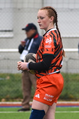 DSC 0601