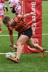 DSC 0706