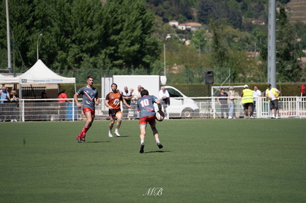 DSC02537