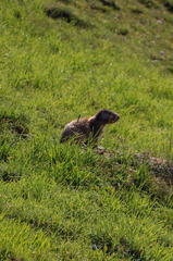 IMG 4157